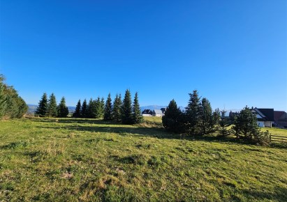 działka na sprzedaż - Zakopane